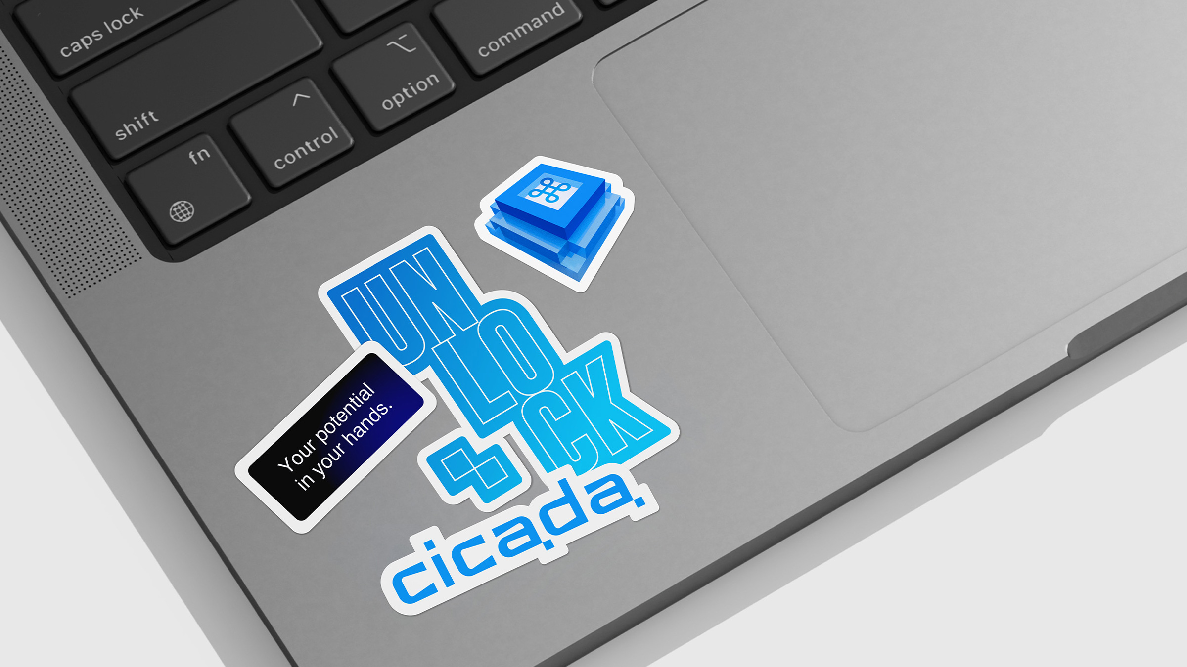 Cicada, crypto, Asgard branding, айдентика, лого, мерч